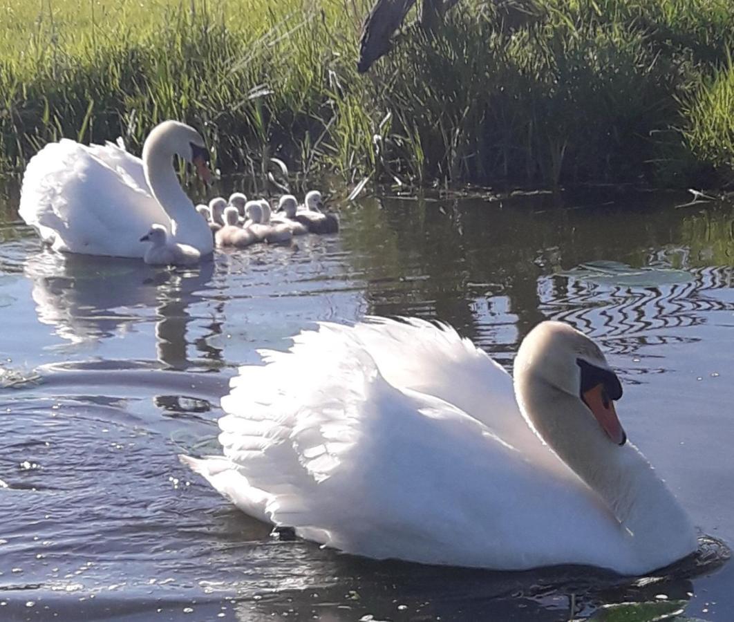 Rietmeer Vakantiehuis Friesland Gaastmeer Bagian luar foto